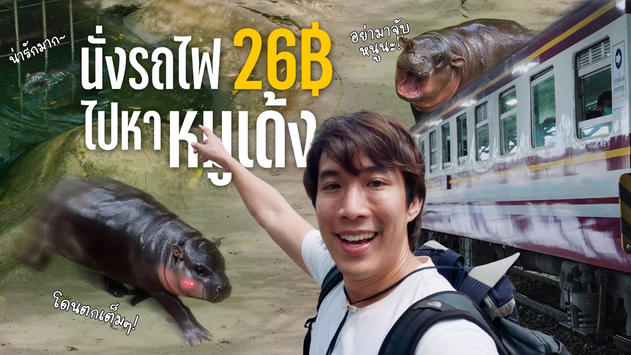 นั่งรถไฟ 26 บ. ไปเจอหมูเด้ง แบบ1 วัน  เที่ยวบางแสนช่วงที่สวยที่สุด!
