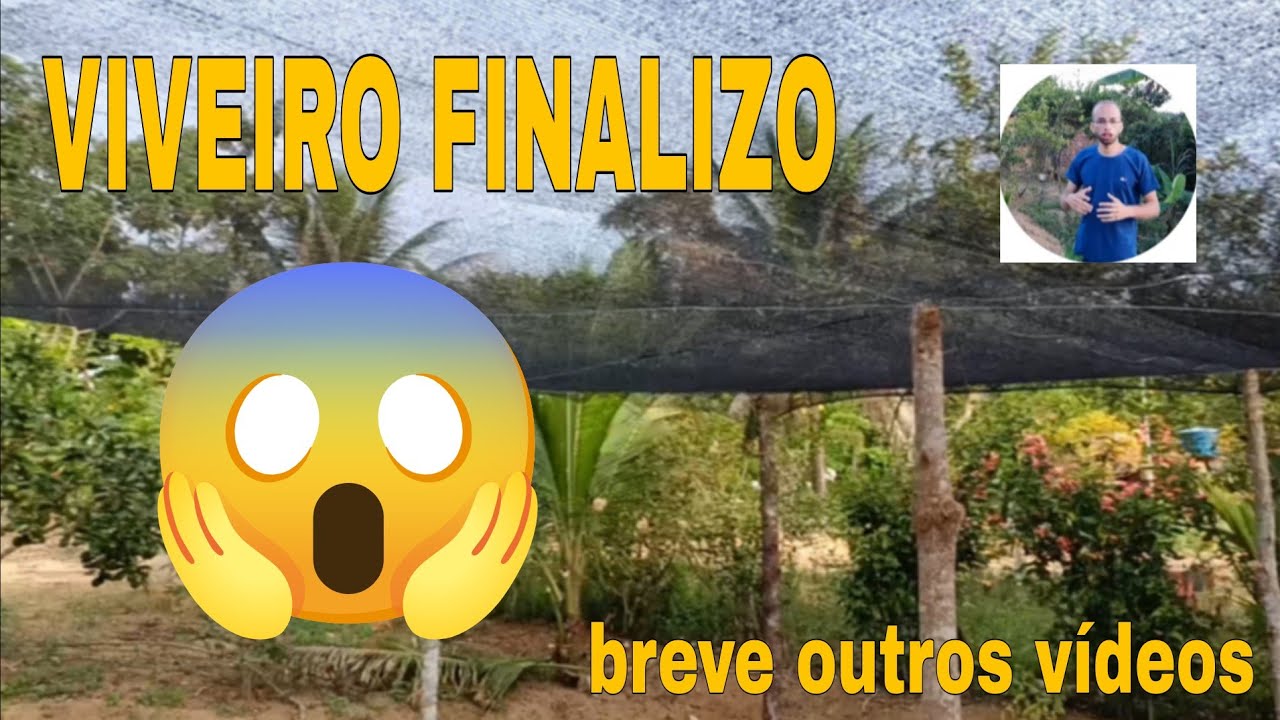 🛑 VIVEIRO DE MUDAS DE CACAU FINALIZADO 😱😱😱😱