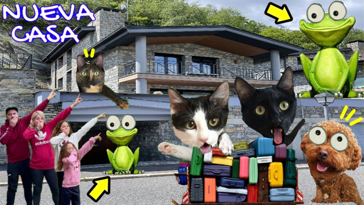 24 horas en la casa nueva con animales 100 cosas y la rana Videos de gatos graciosos Luna y Estrella