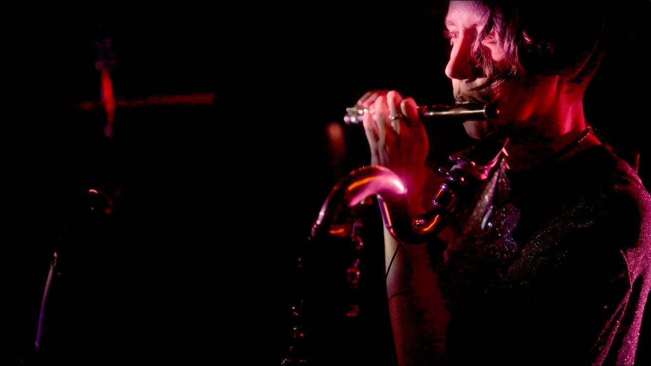 Her Still Singing Limbs - Emily Rach Beisel