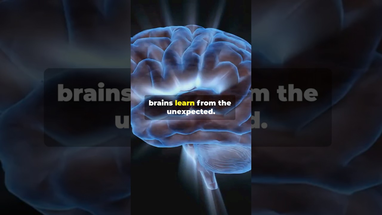 Surprise: Your Brain's Learning Hack!