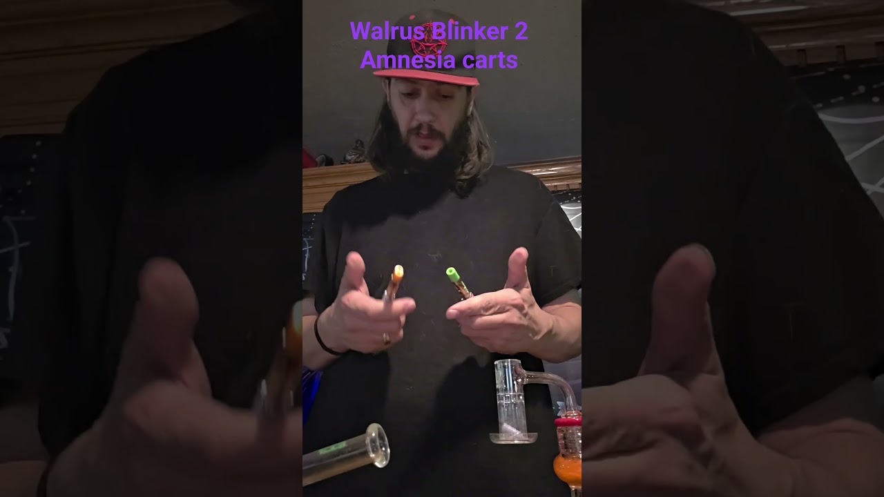 #blinkershorts #walrus. Amnesia Pink Lemonade and Lemon Cherry Gelato.  on Yocan Flat new Batteries