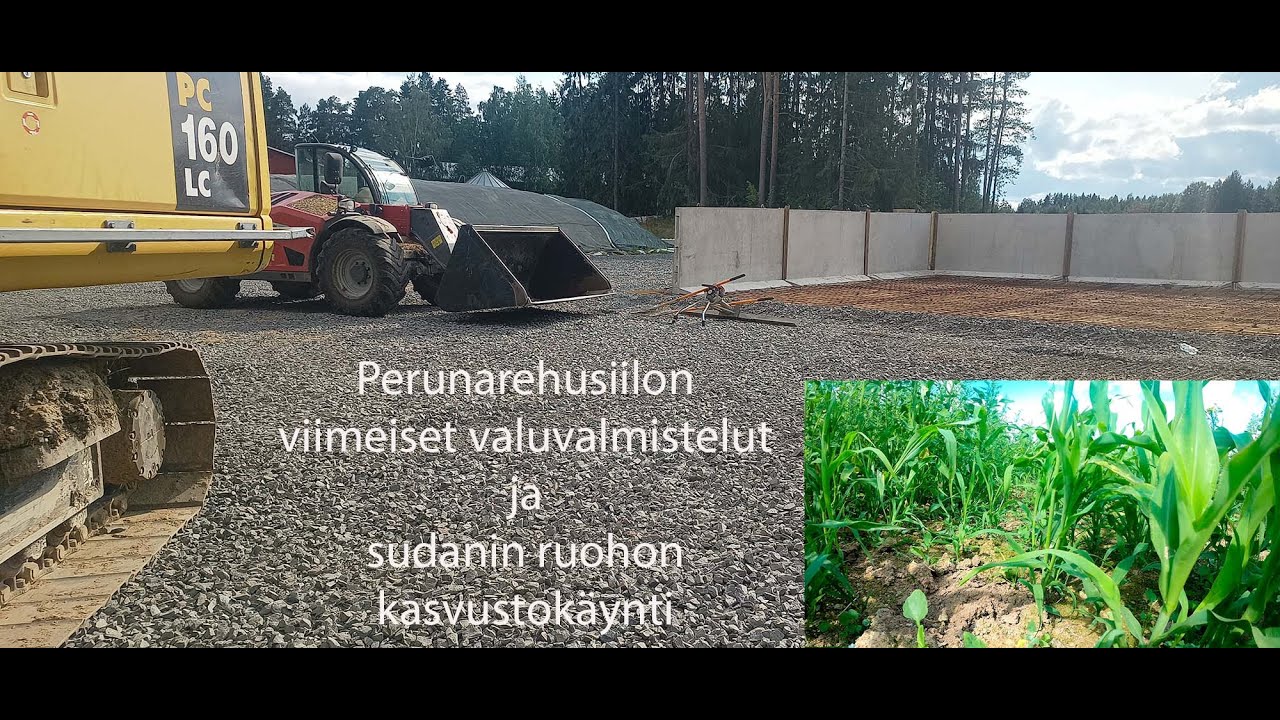 Perunarehu siilon valuvalmistelut ja sudanin ruohon kasvun seurantaa