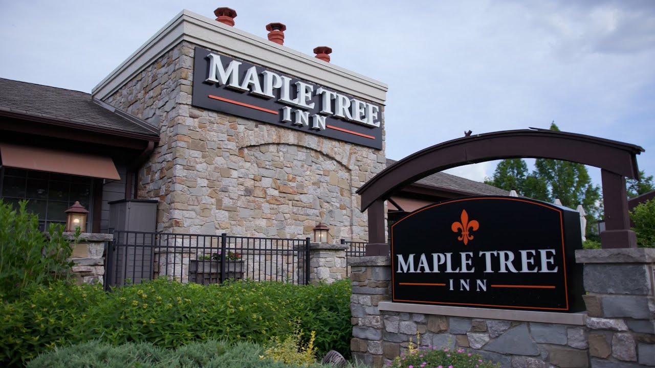 ‘The Bear gets a lot right;’ Maple Tree Inn owner identifies with characters in FX drama series