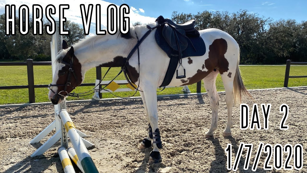 Prepping for XC schooling (Horse Vlog day 2) || Kirsten Equestrian