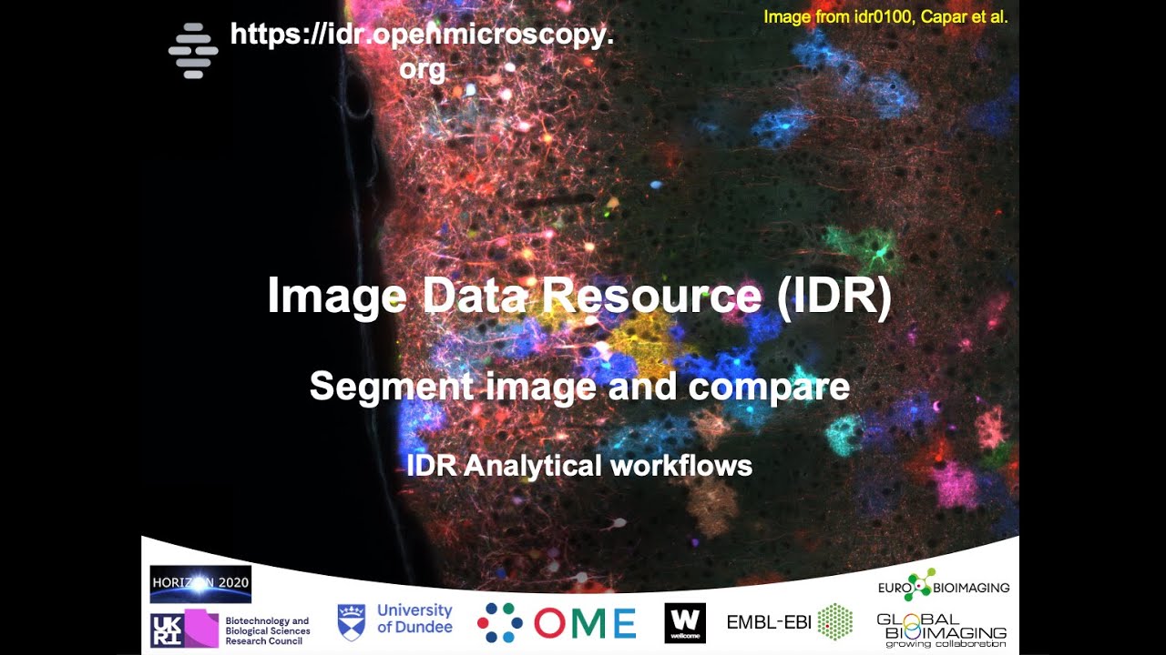 Segment image (IDR Analytical workflows)