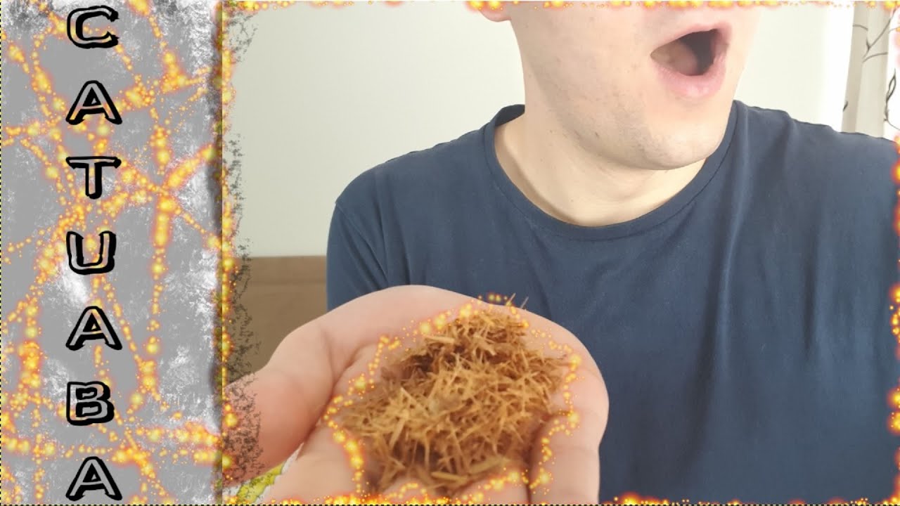 Catuaba - Czy to działa? Czy Warto? Działanie , właściwości ---- luźna pogadanka ;)