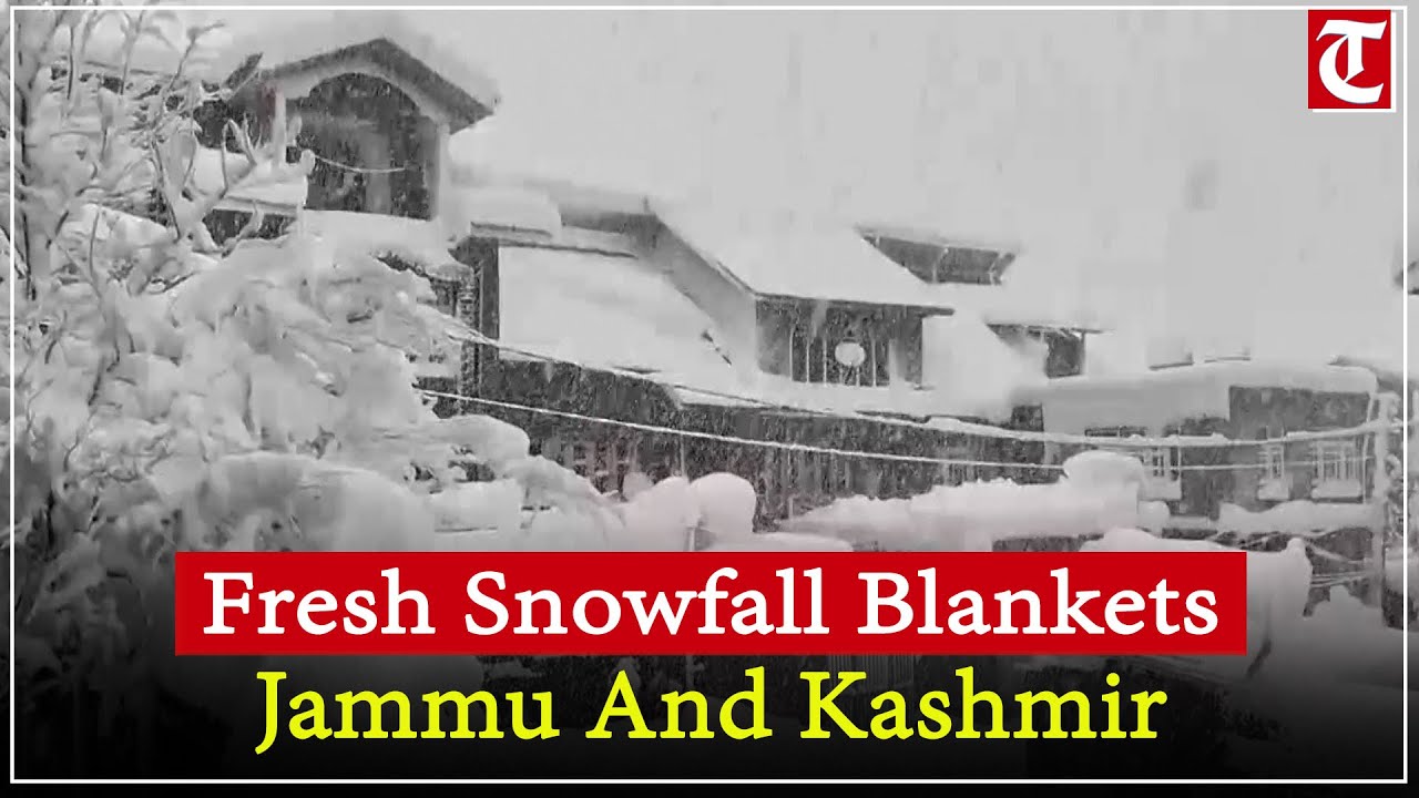Fresh Snowfall Hits Jammu & Kashmir, Higher Reaches Covered as Temperatures Dip