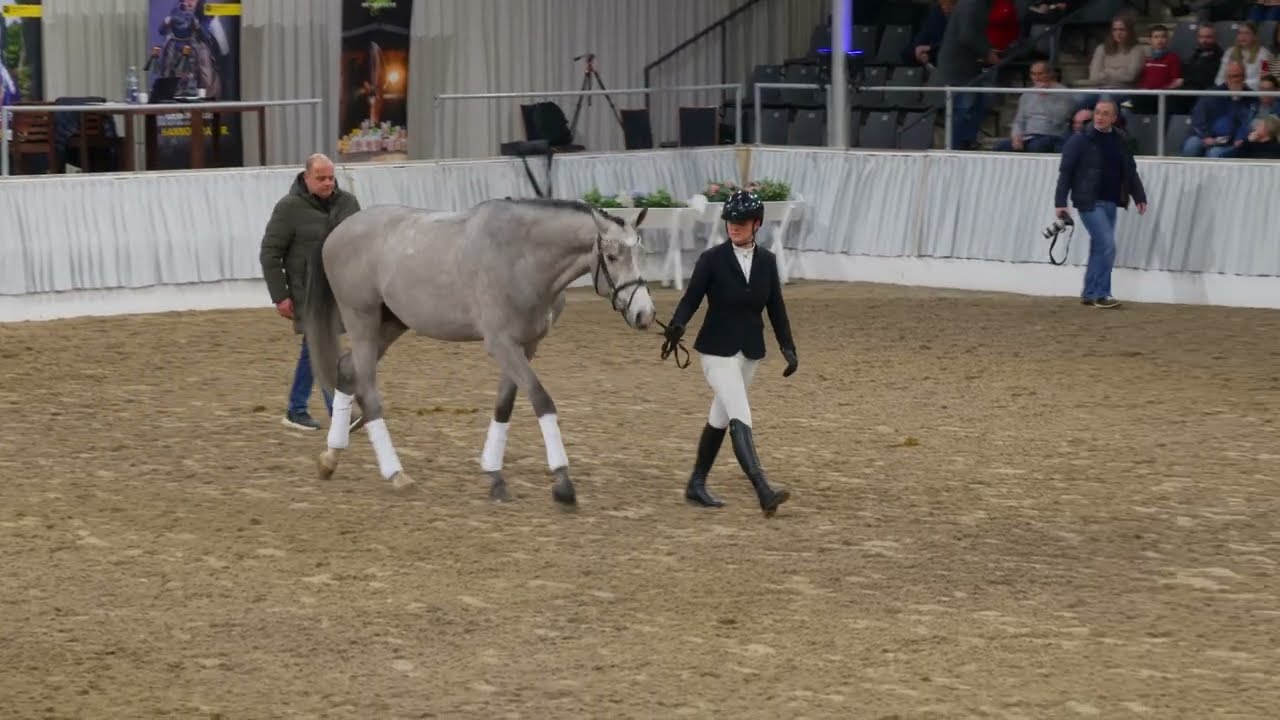 Acorezzo v. Arezzo VDL/Cornado       Stakkato-Preis 2026
