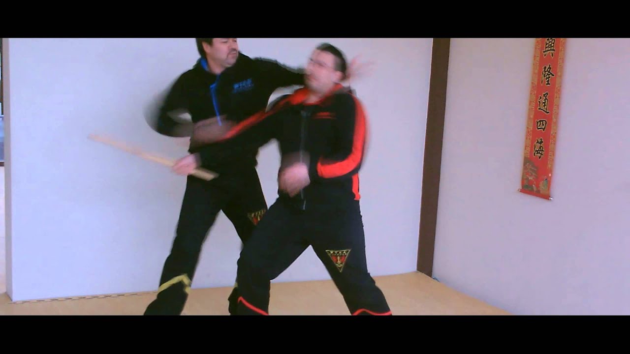 WingTsun WTAA Wing-Tsung - Dai Sifu Ataman