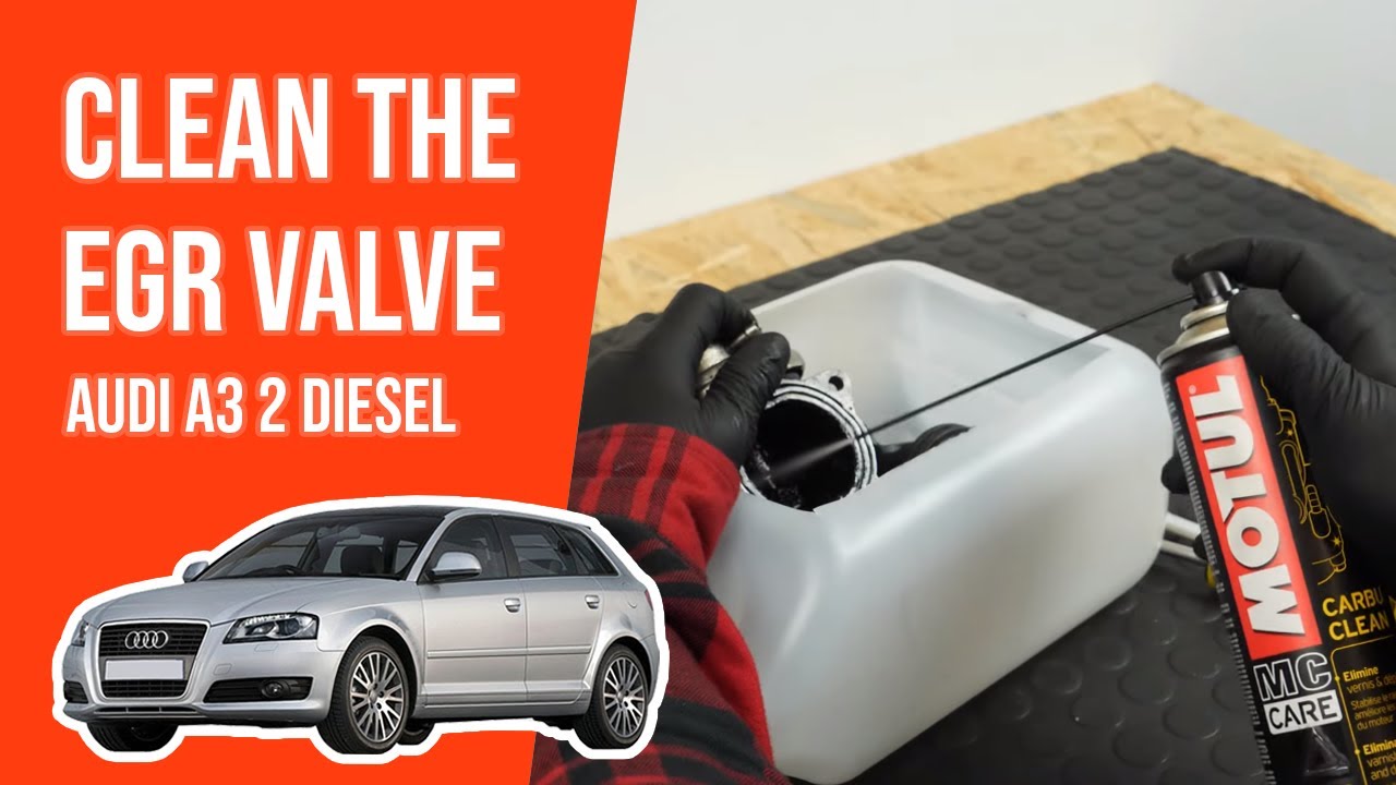 How to clean the EGR valve AUDI A3 mk2 1.9 TDI ♻️
