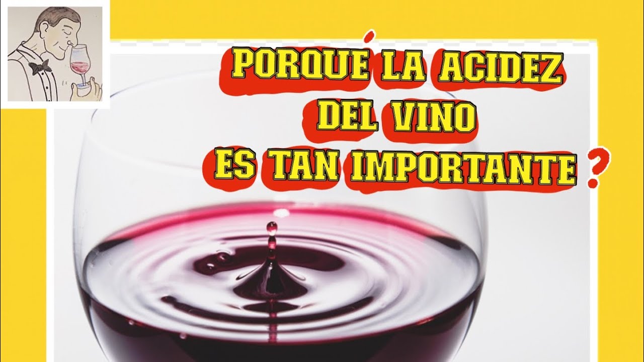 (218) ¿PORQUÉ LA ACIDEZ DEL VINO ES TAN IMPORTANTE?