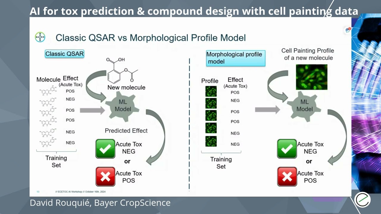 Leveraging AI for Toxicity Prediction and De Novo Compound Design Using Cell Painting Data