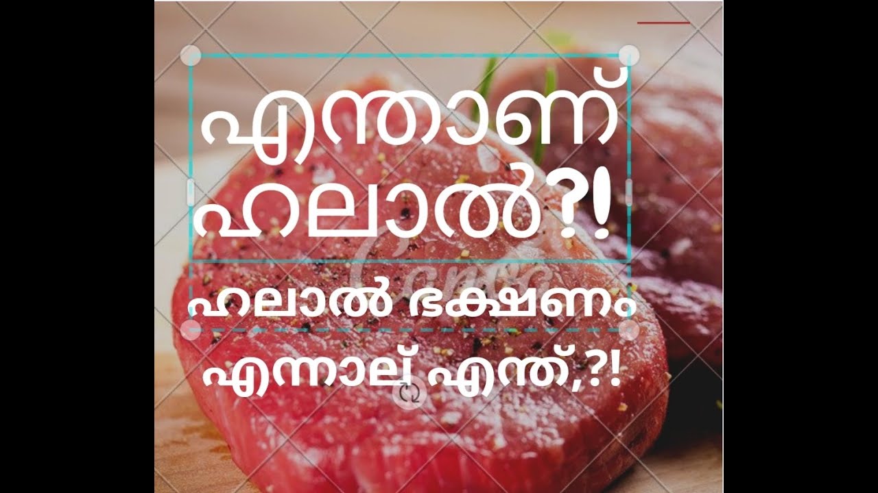 എന്താണ് ഹലാൽ? ഹലാൽ ഭക്ഷണം എന്നാല്‍ എന്ത്?what is halal and halal food|Halal controversy in kerala