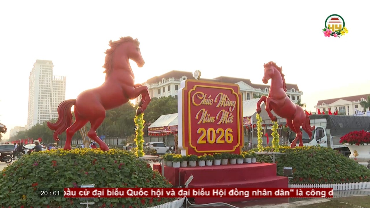 Không khí chợ hoa xuân ngày cận Tết | HYTV