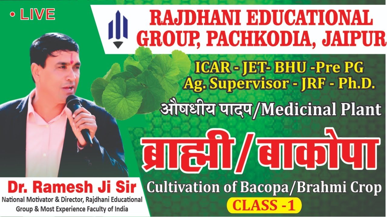 [16] ब्राह्मी | सफेद चमनी की खेती | Cultivation of Bacopa | Brahmi | Indian Pennywort |Ag Supervisor