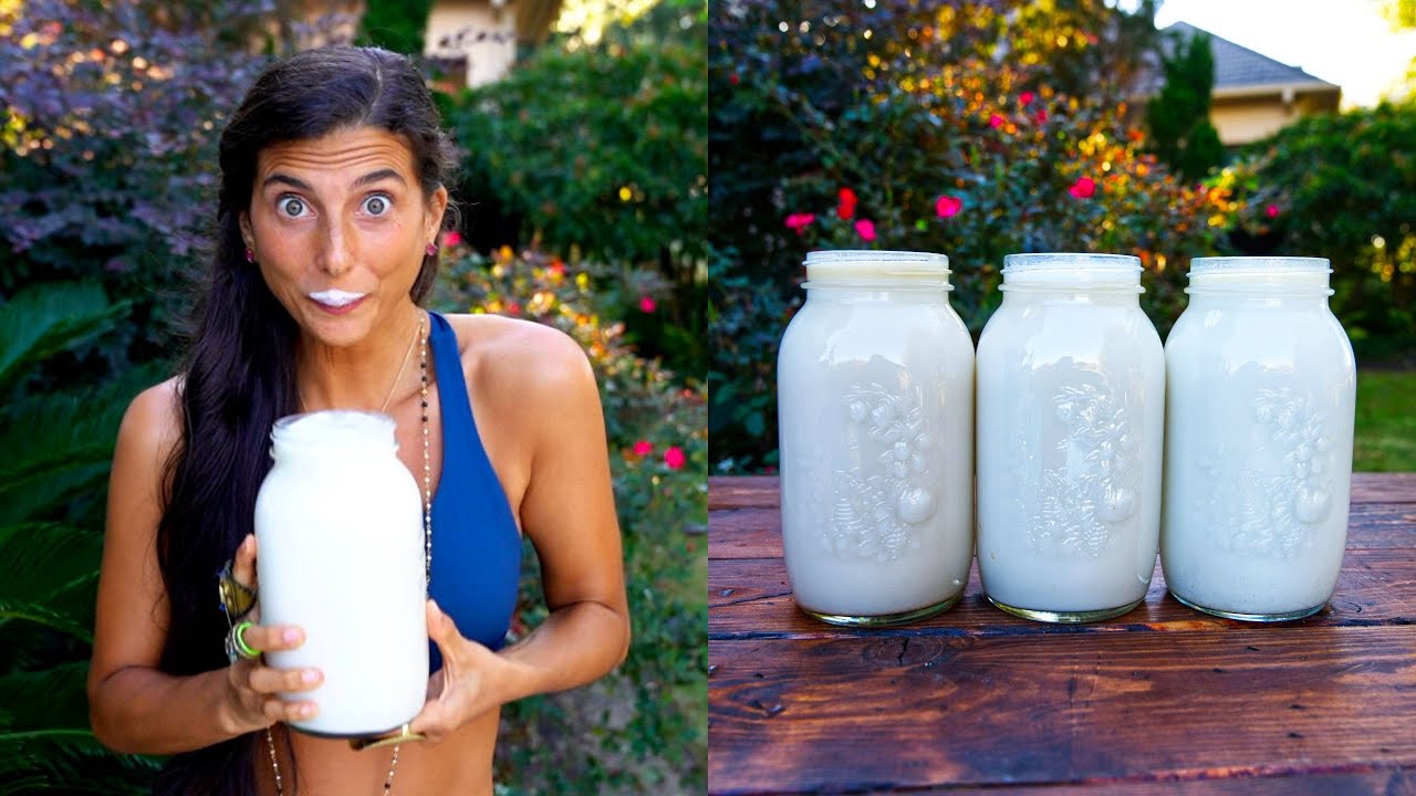 3 Delicious Nut Milk Recipes You MUST Try | Plant-Based & FullyRaw Vegan