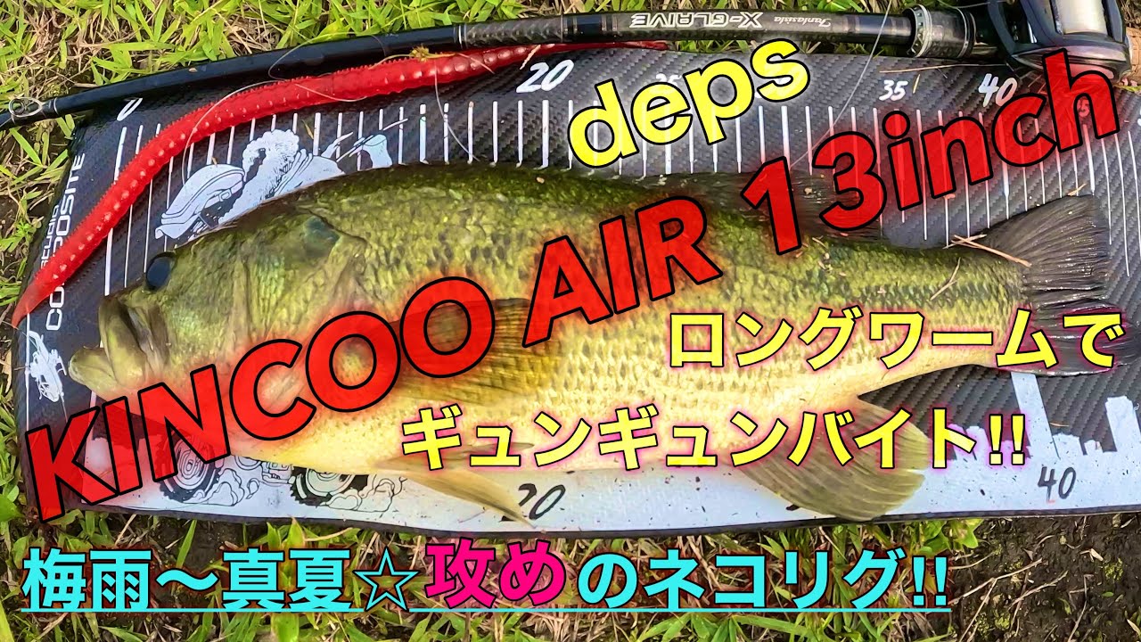 【キンクーエアー13inch】梅雨から真夏☆攻めのネコリグ‼︎ バス釣り ロングワームでギュンギュンバイト‼︎ 【deps】