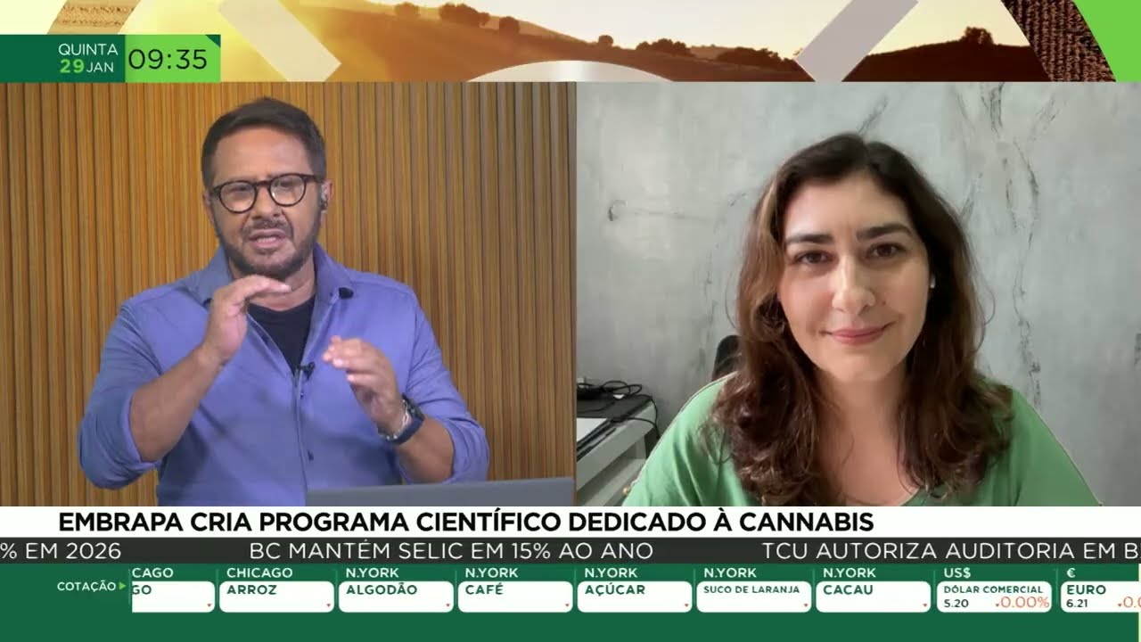 Embrapa cria programa científico voltado à cannabis