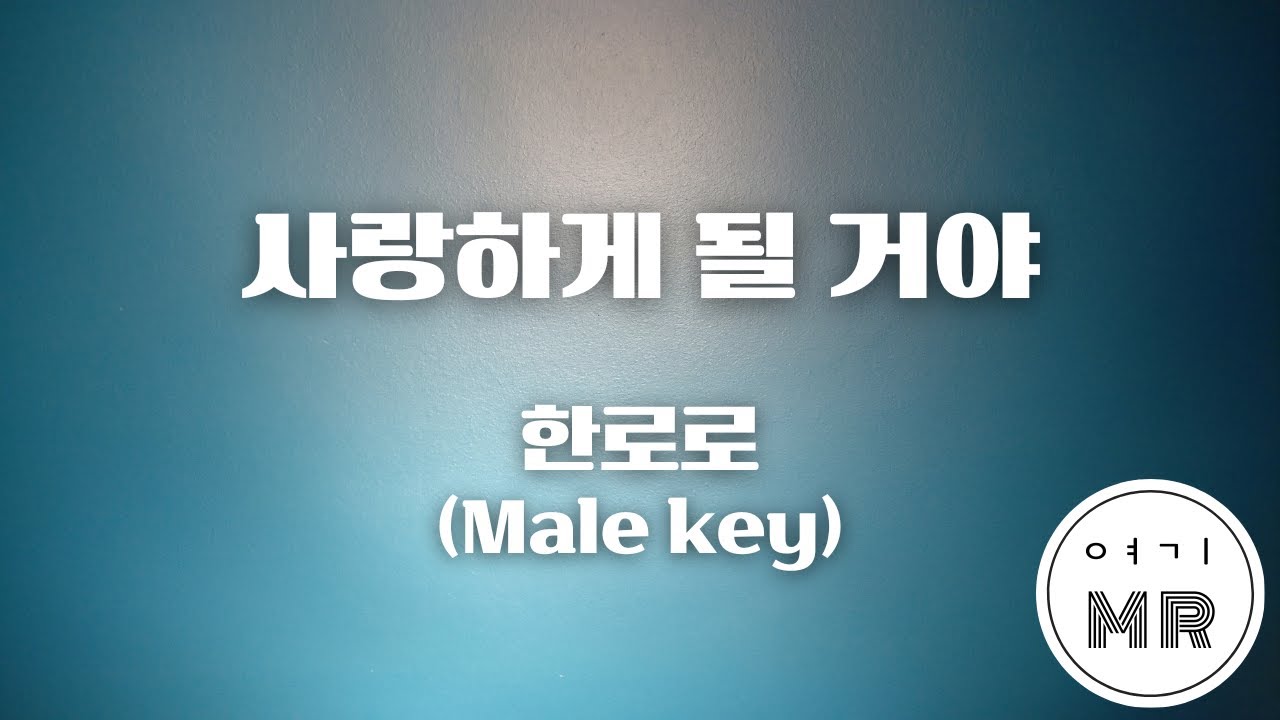 사랑하게 될 거야 - 한로로 (남자키D/-5) 여기MR / KPOP / Karaoke / Music / 노래방