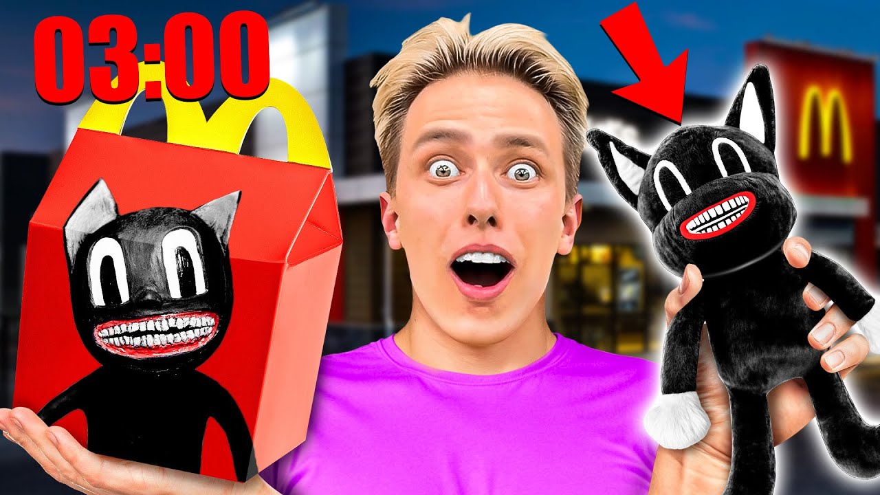 DO NOT ORDER CARTOON CAT, CARTOON DOG, CARTOON MOUSE HAPPY MEALS AT 3 AM!!
