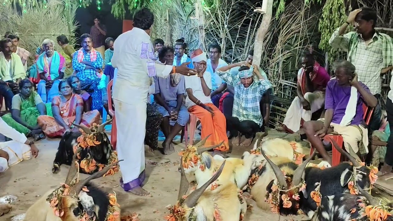 PADALA SANKARI GOLLA CHADUVU KOTIPALLI🥰❤️‍🩹