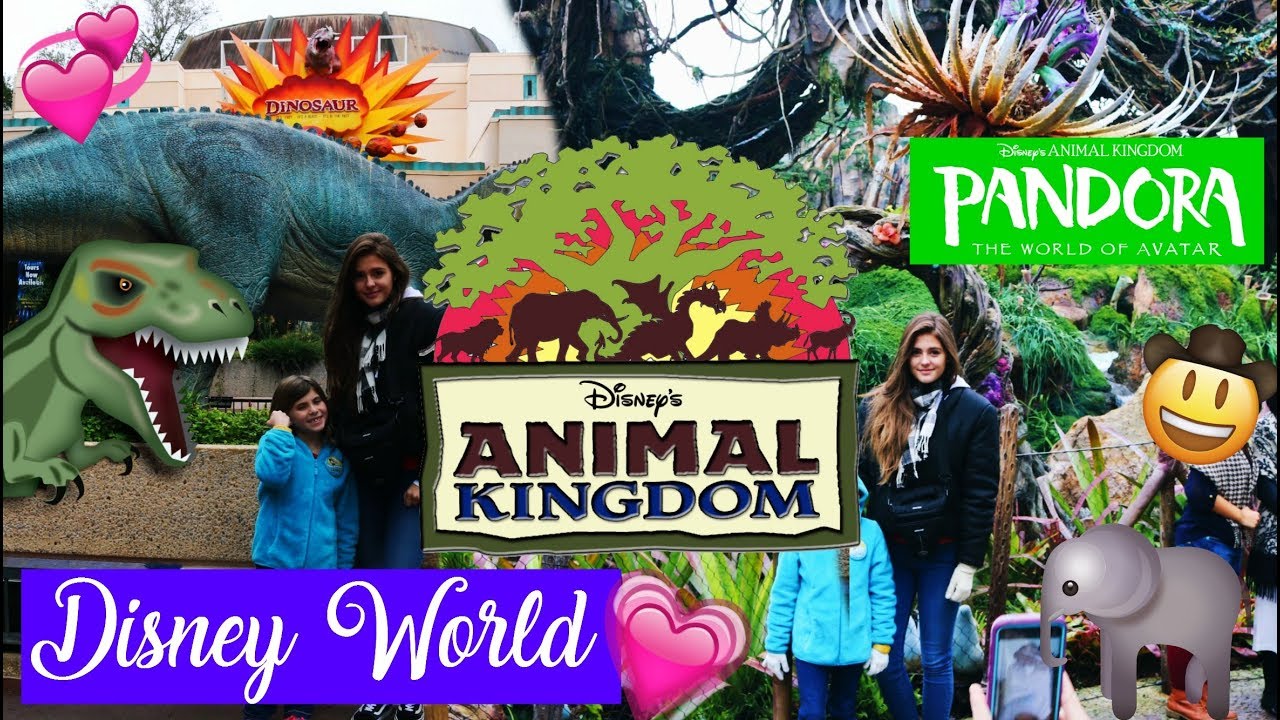 Disney World (Animal Kingdom) VLOG // AUSLANDSJAHR USA 2017/18