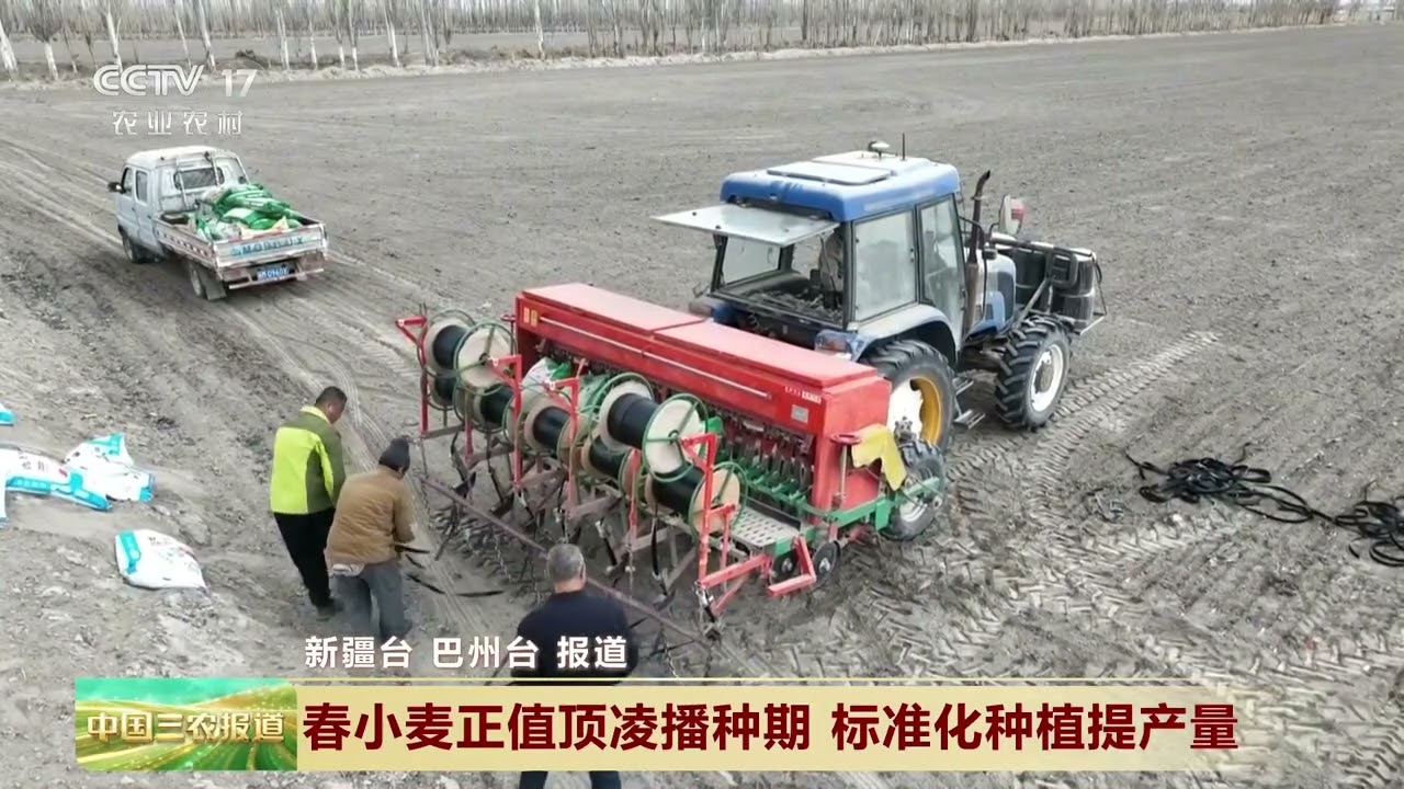 [中国三农报道]新疆和硕 春小麦正值顶凌播种期 标准化种植提产量 | 农业致富经 Agriculture And Farming