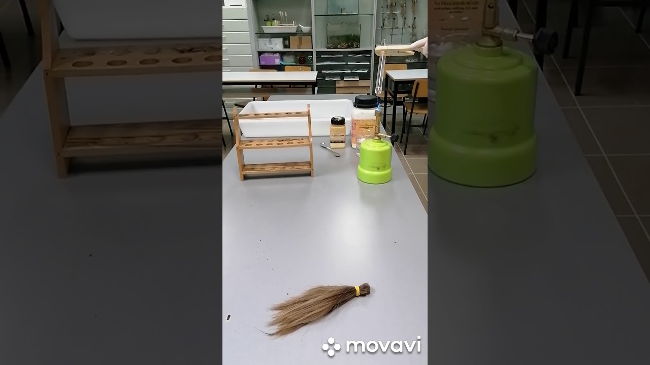 Dokazivanje biogenih elemenata u kosi