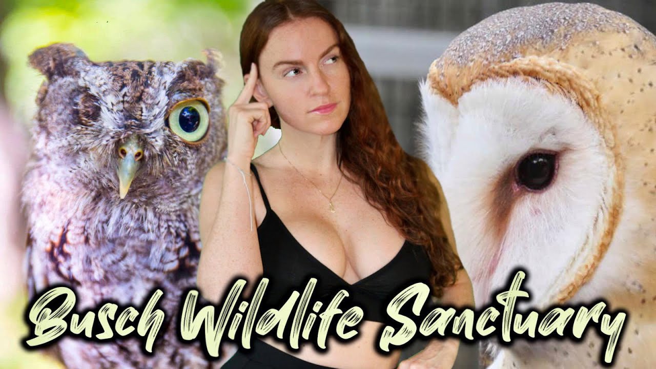Busch Wildlife Sanctuary | Jupiter, Florida, USA 🇺🇸