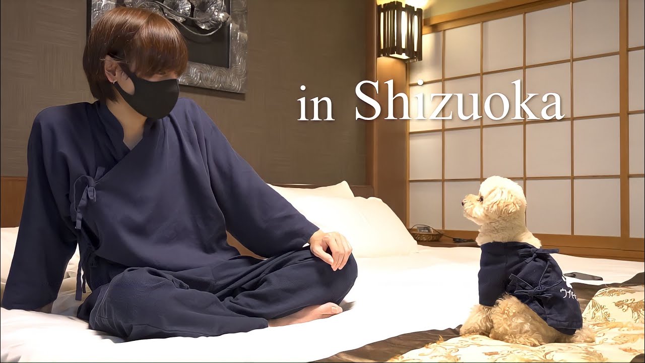 トイプードルと独身男の２泊３日の贅沢旅行【伊豆 #1 】