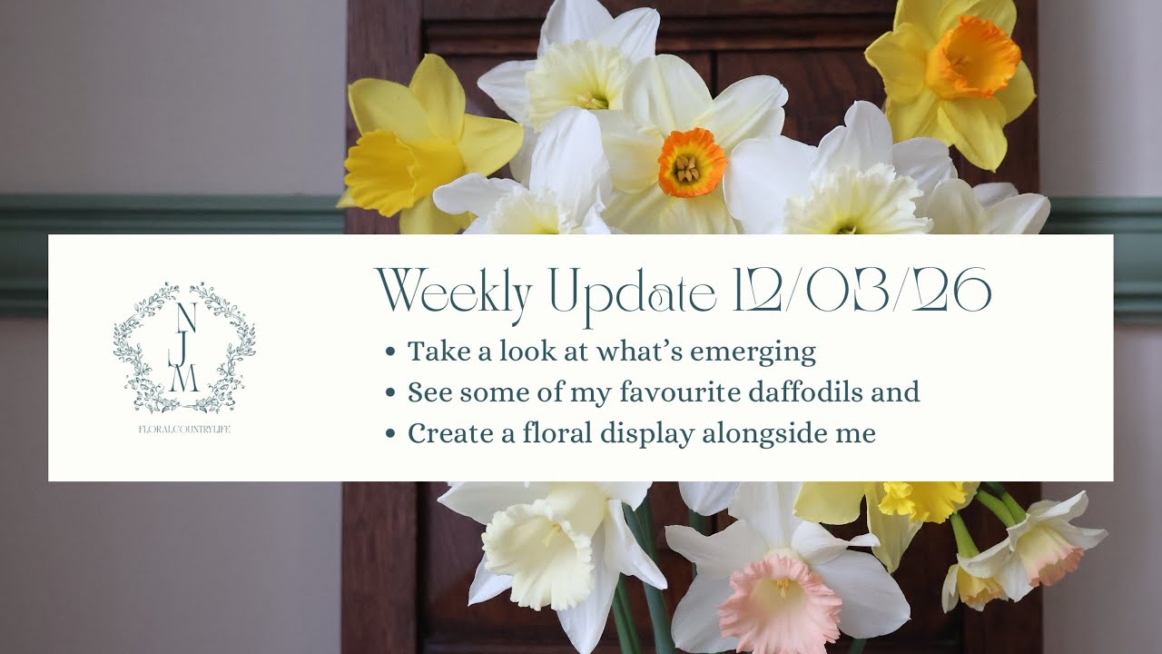 Early Spring Garden Vlog | Garden Update, Beautiful Daffodils & Simple Flower Arrangement