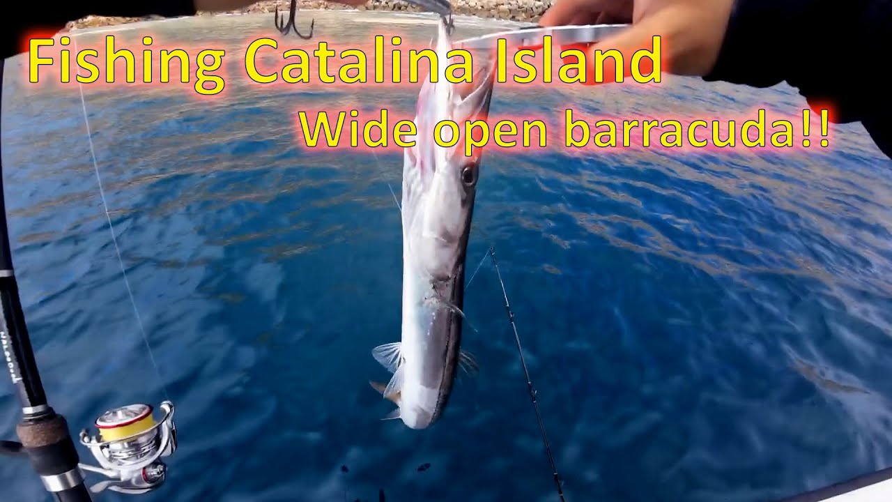 Fishing Catalina Island