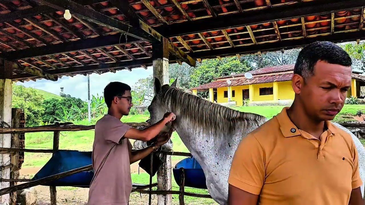 Fazendeiro INCRÉDULO aprende a ter FÉ com seu FUNCIONÁRIO 