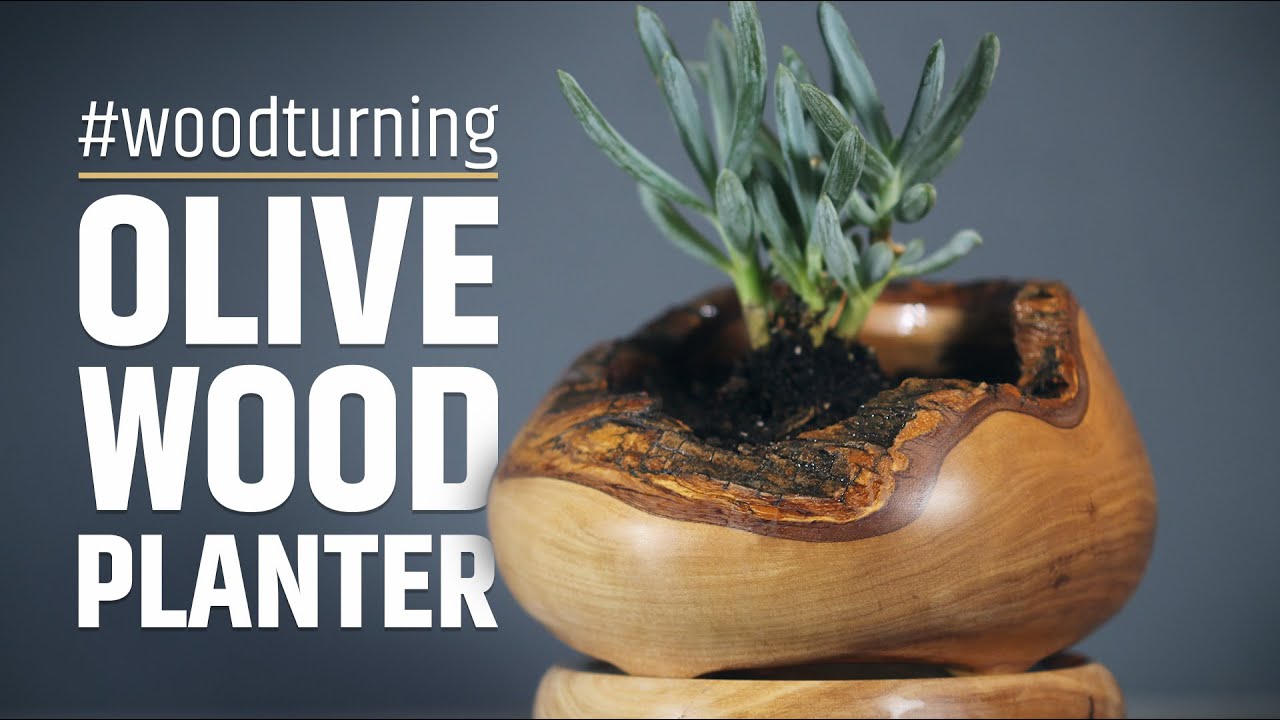Woodturning an olive wood live edge planter