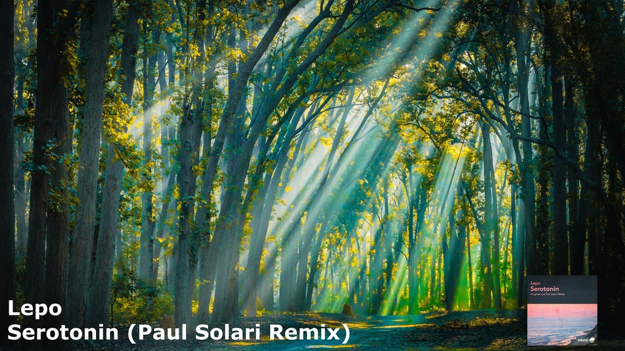 Lepo - Serotonin (Paul Solari Remix)[SOL272]