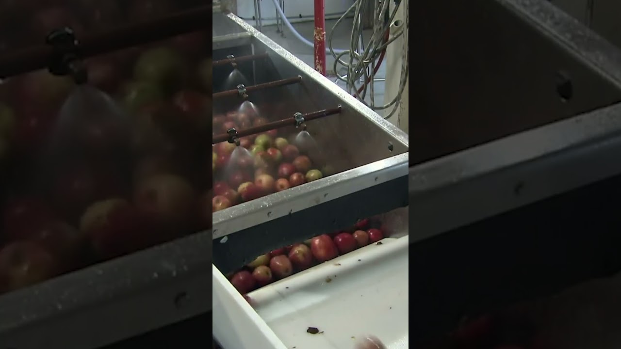 Как делается идеальный яблочный сидр 🍎 #шорты #каконсделан