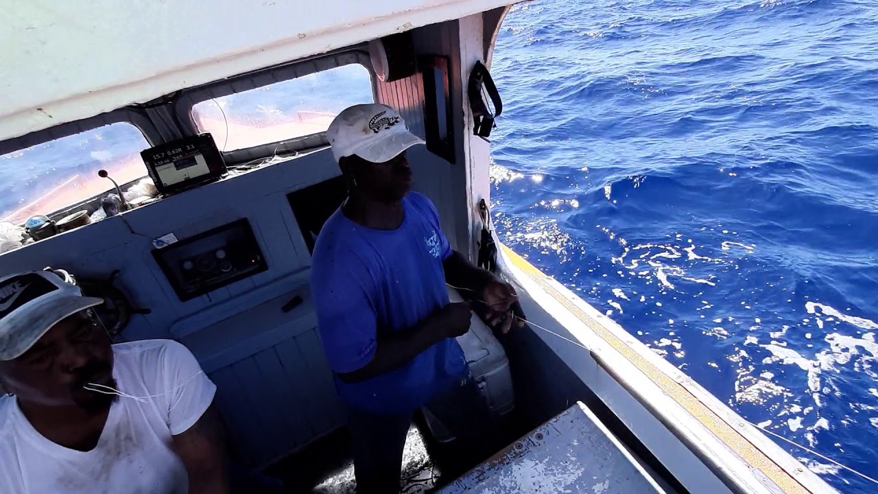 Dorado fishing on curacao