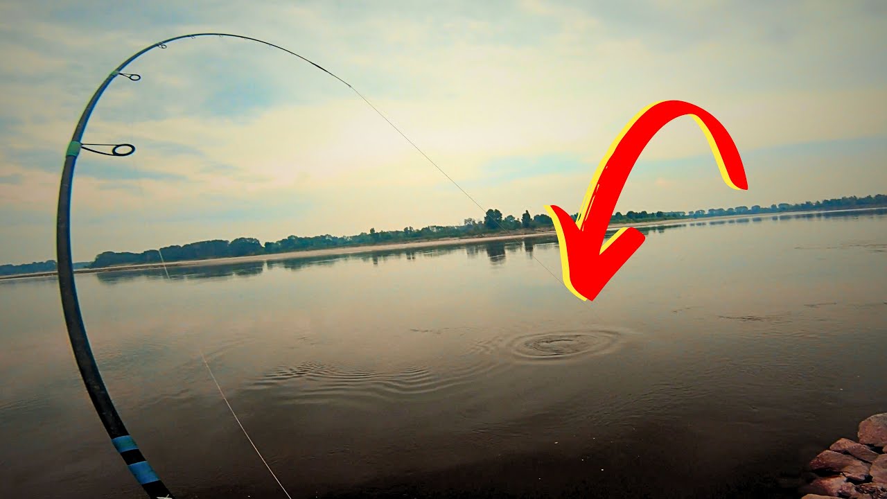 This FIGHT was LOST from the Beginning - Spinning the Po River for the Summer ASP