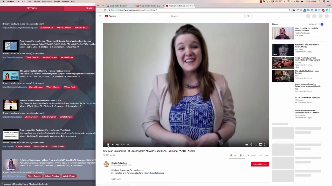 Video Traffic Genie 2 Demo
