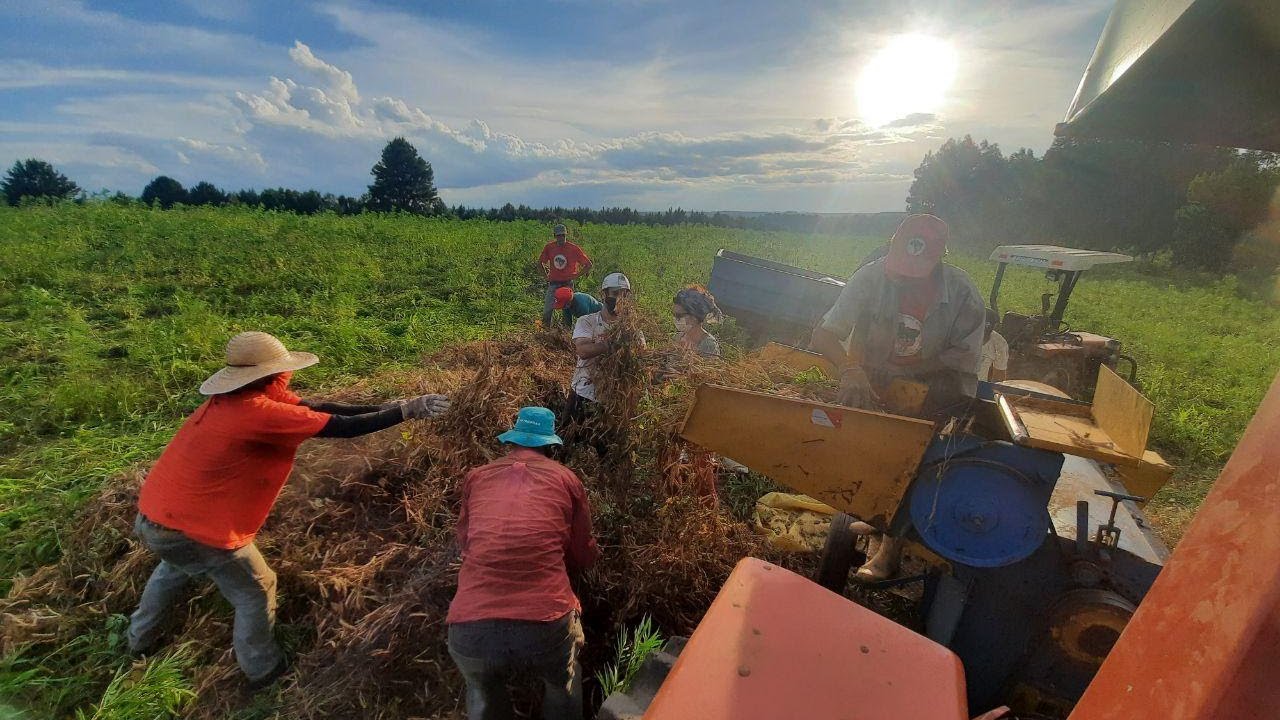 Coletivo Marmitas da Terra celebra 5 anos de luta popular e solidariedade, em Curitiba e Região