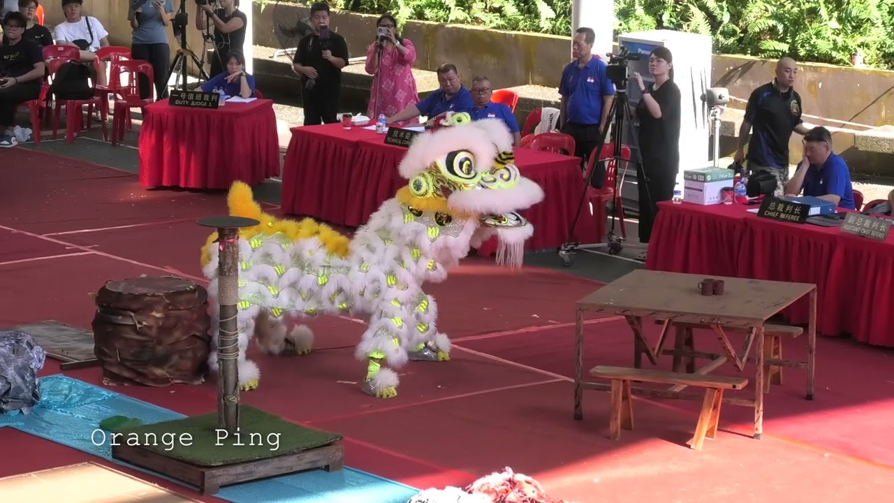 南洋醒狮学院A队Namyang Lion Dance Centre Team A
