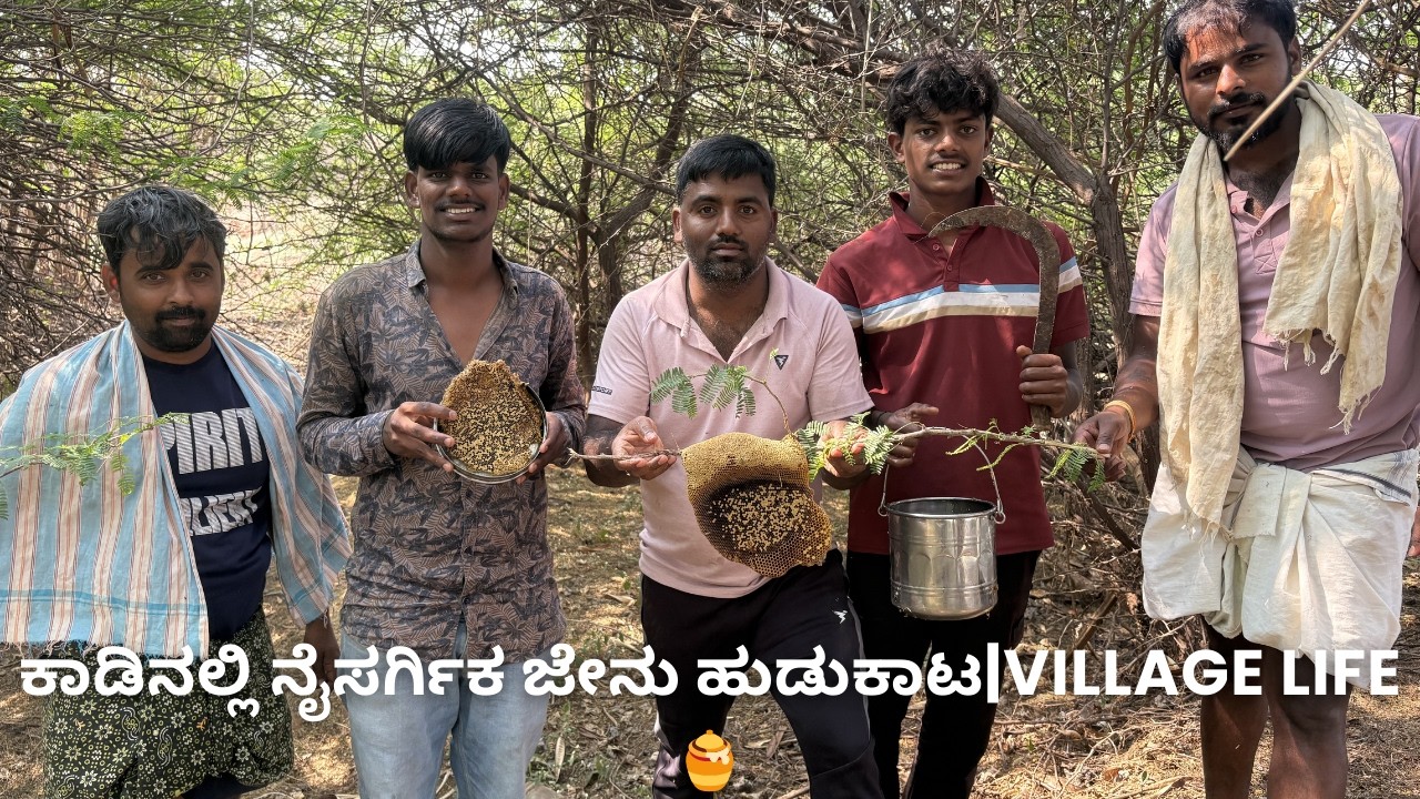 ಹೊಸದಡಗೂರಿನ ಯುವಕರು ಕಾಡಿನಲ್ಲಿ ನೈಸರ್ಗಿಕ ಜೇನು ಹುಡುಕಾಟ! 🍯 - Natural Forest Honey Hunting