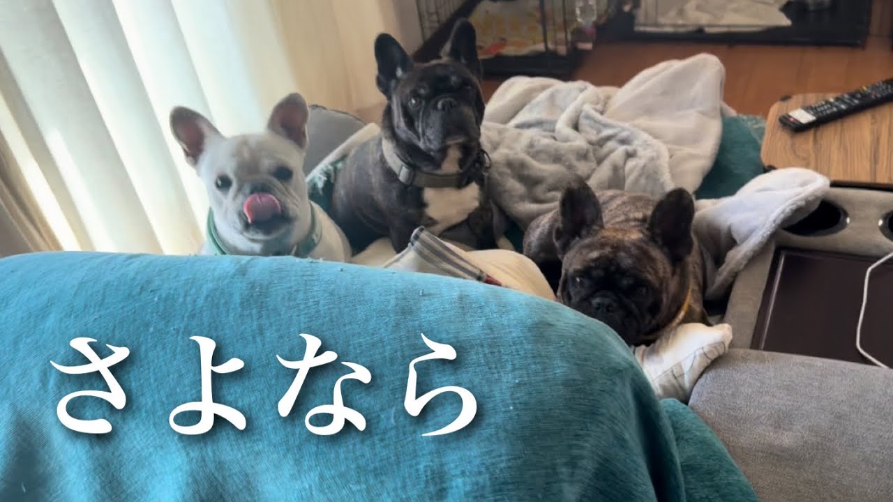 ごめんなさい、これが最後の動画になります