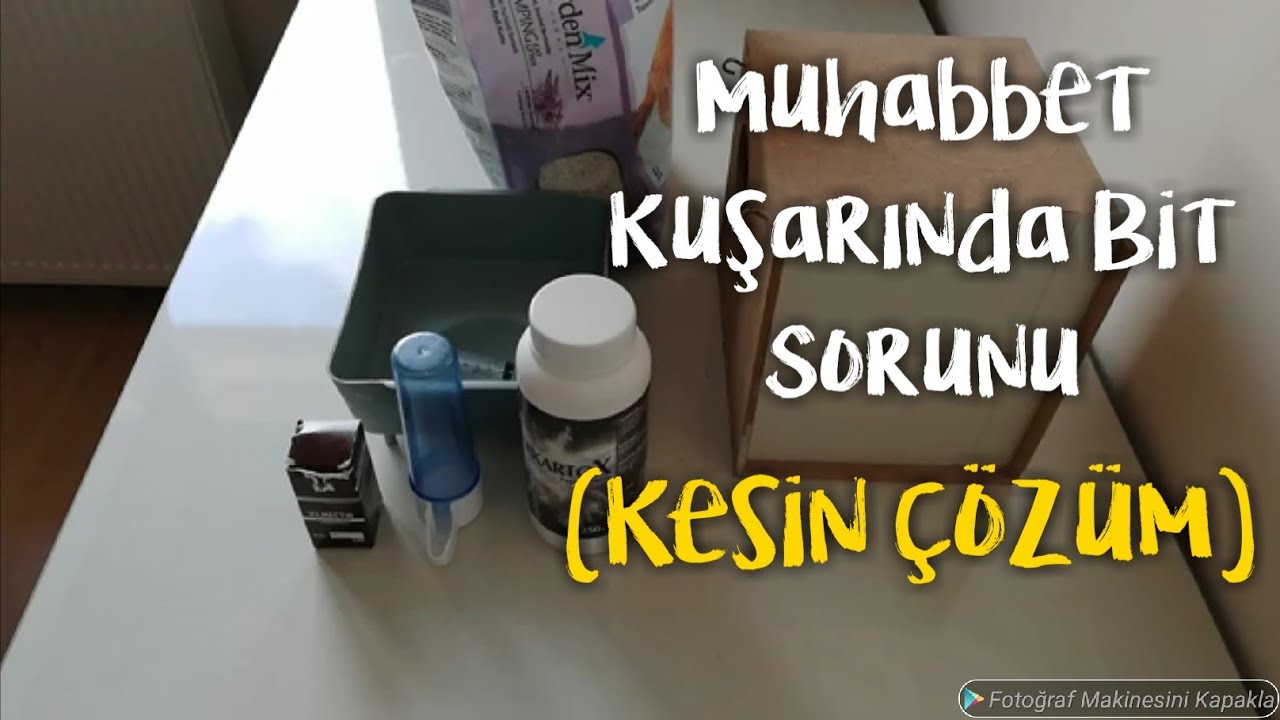 Muhabbet Kuşlarında Bit Sorunu - Kesin &Ccedil;&ouml;z&uuml;m - Vilmectin - Akartox