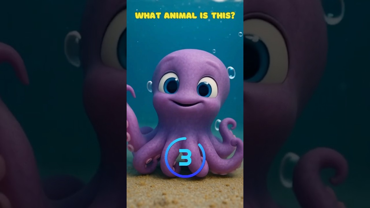What animal is this? Sea creature
