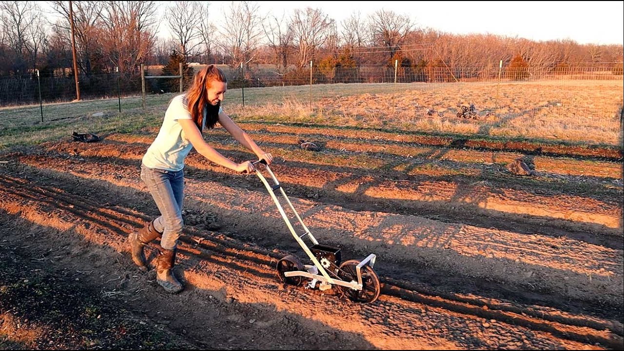 Making Compost and Eating Weeds from the Garden