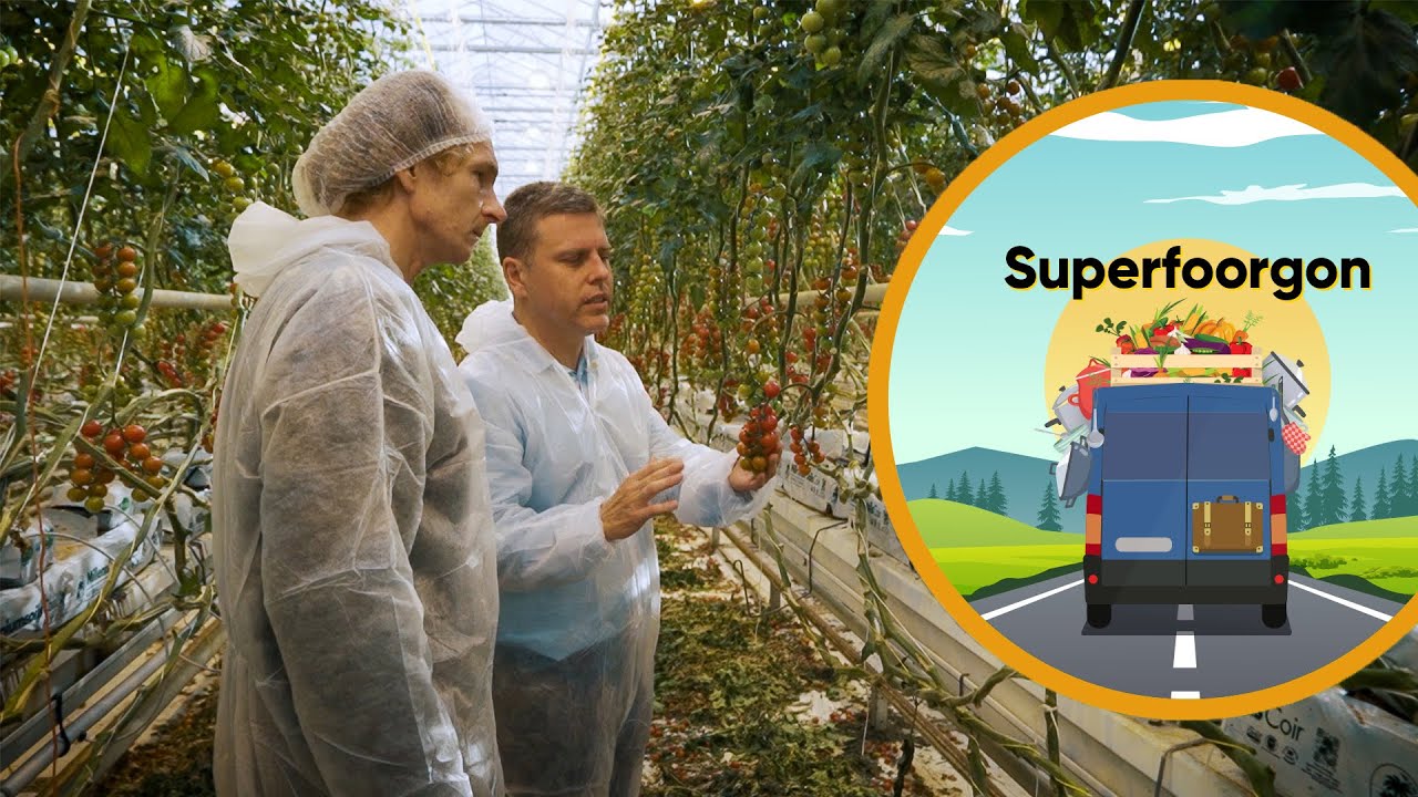 SUPERFOORGON I A Veresi Paradicsom lélegzetelállító ültetvényén jártunk | Nosalty