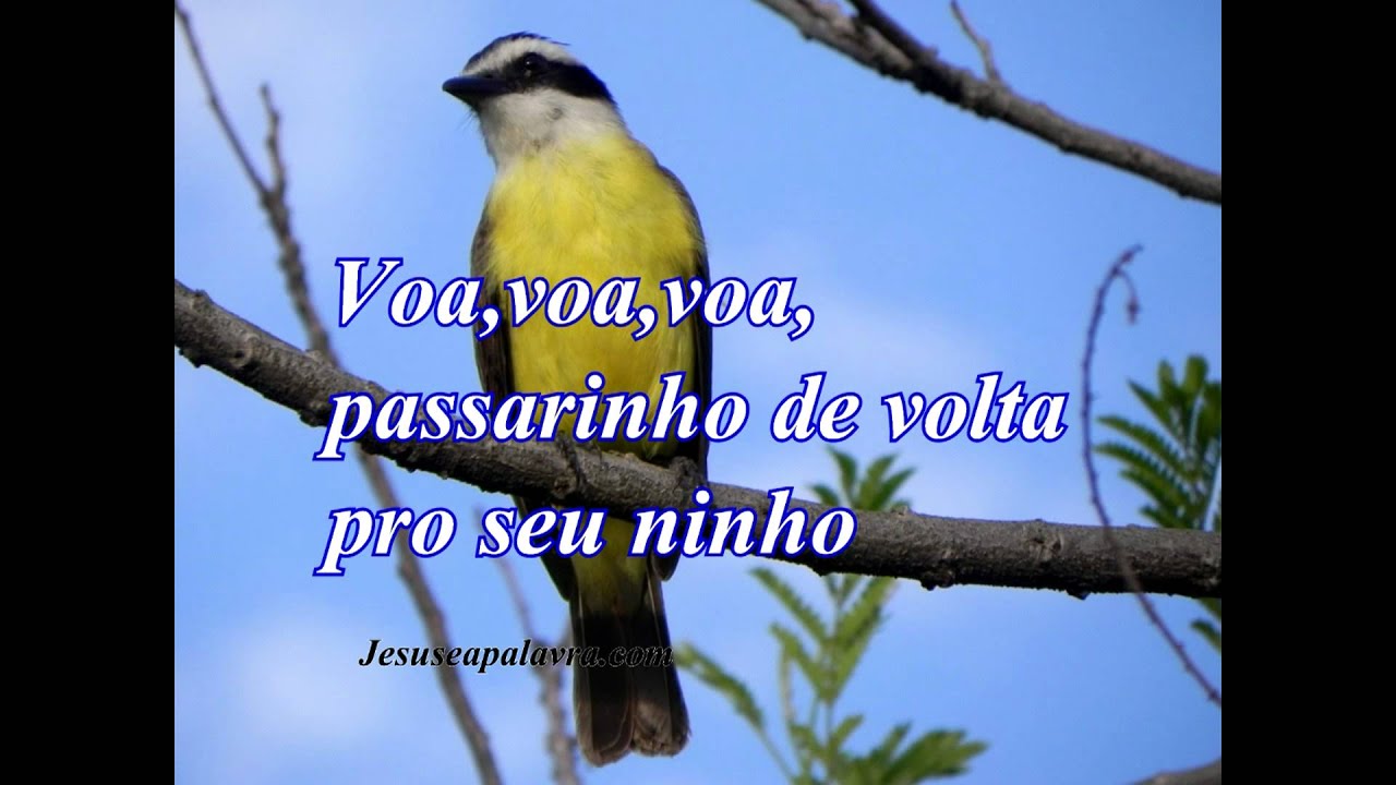 Voa voa voa passarinho
