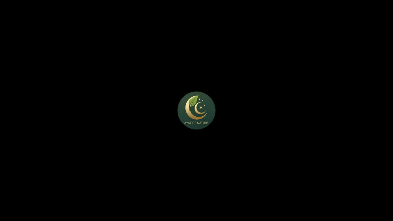 Ayat of Nature is live!শুভরাত্রি 🍟🥯
